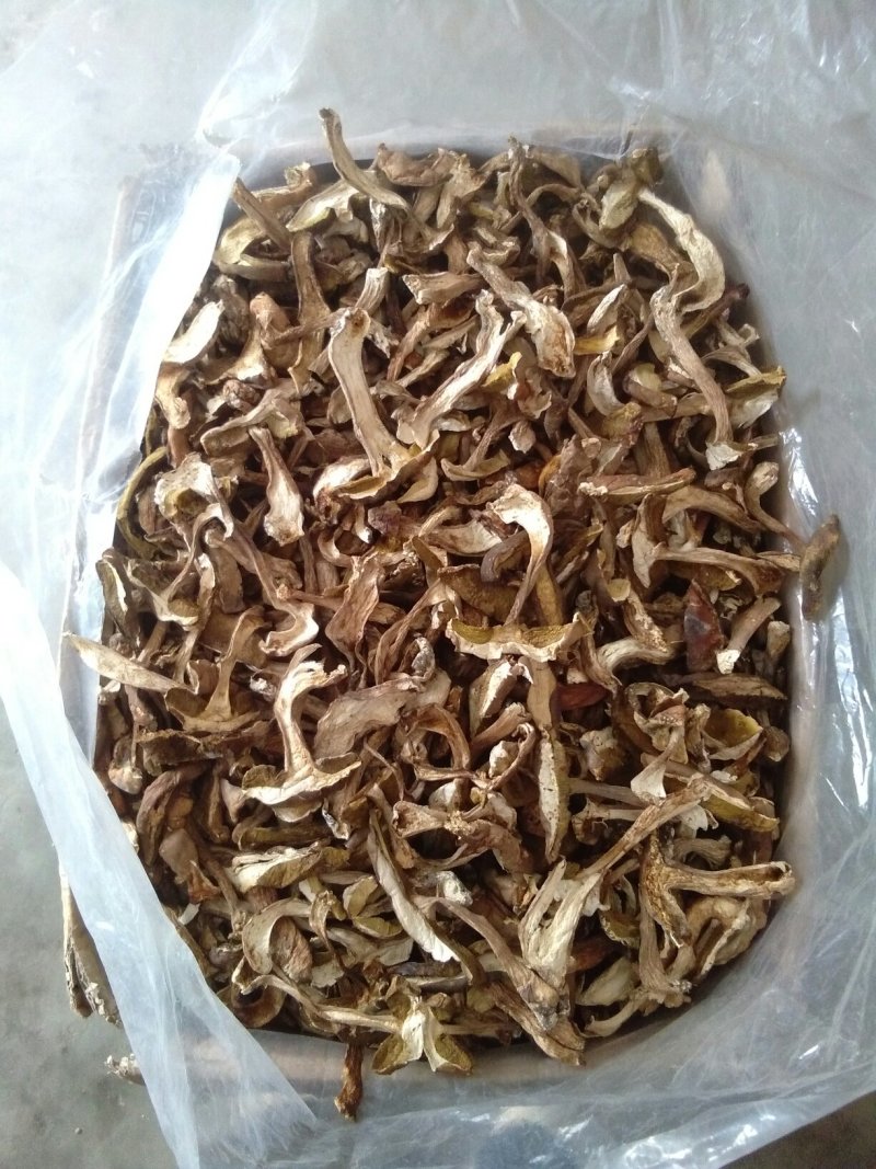 牛肝菌美味牛肝菌