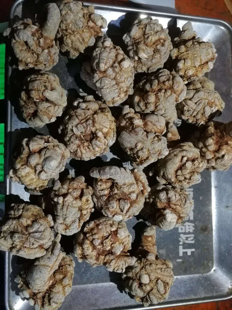10头三七王8年三七云南文山三七特级顺丰包邮500克