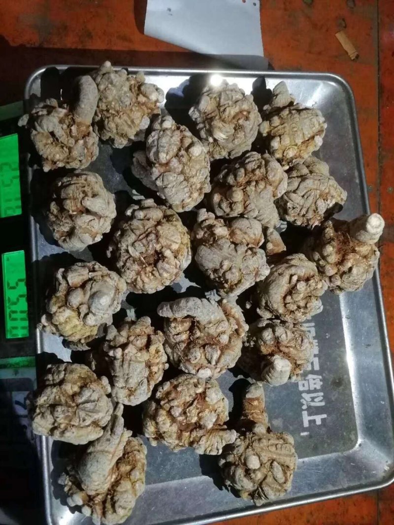 三七王10头工艺品手工文山三七