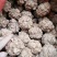 三七王10头工艺品手工文山三七