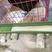 鸡槽食槽长方形长条喂食器养鸡用饲料槽子家禽养殖设备喂兔鸡