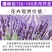薰衣草种子四季播盆栽薰衣草香草种子花卉种子花籽花草花种子