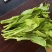 红菜苔白菜苔春菜苔批发可实地考察，欢迎老板咨詢