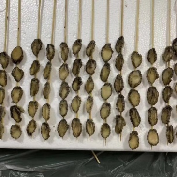 鲍鱼小串烧烤好食材一件十串一串5个鲍鱼