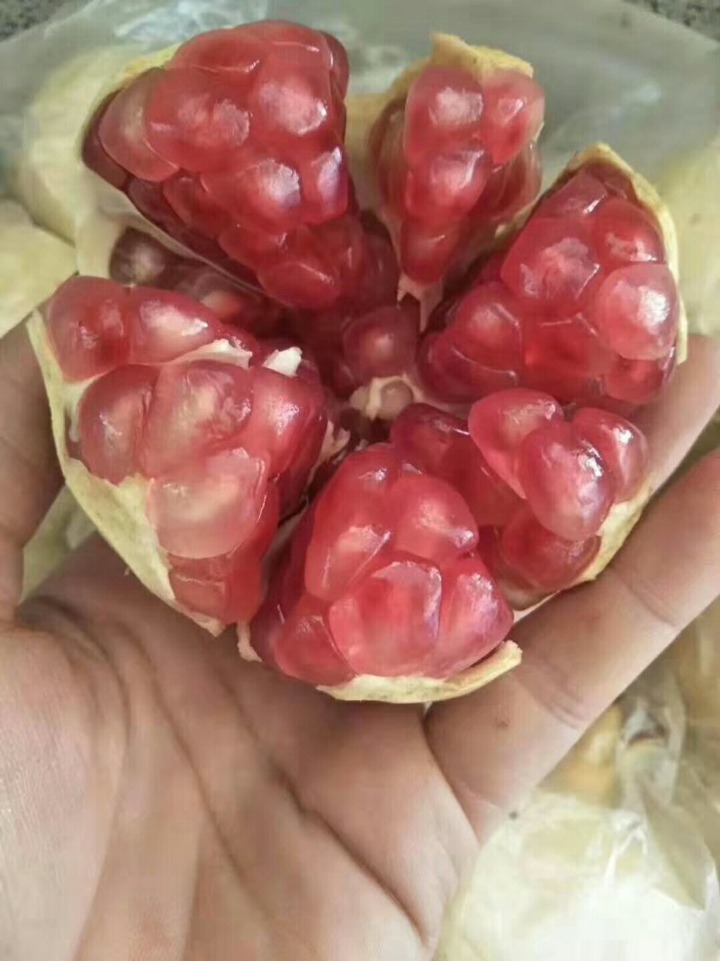 蒙自绿籽甜石榴，建水酸甜石榴