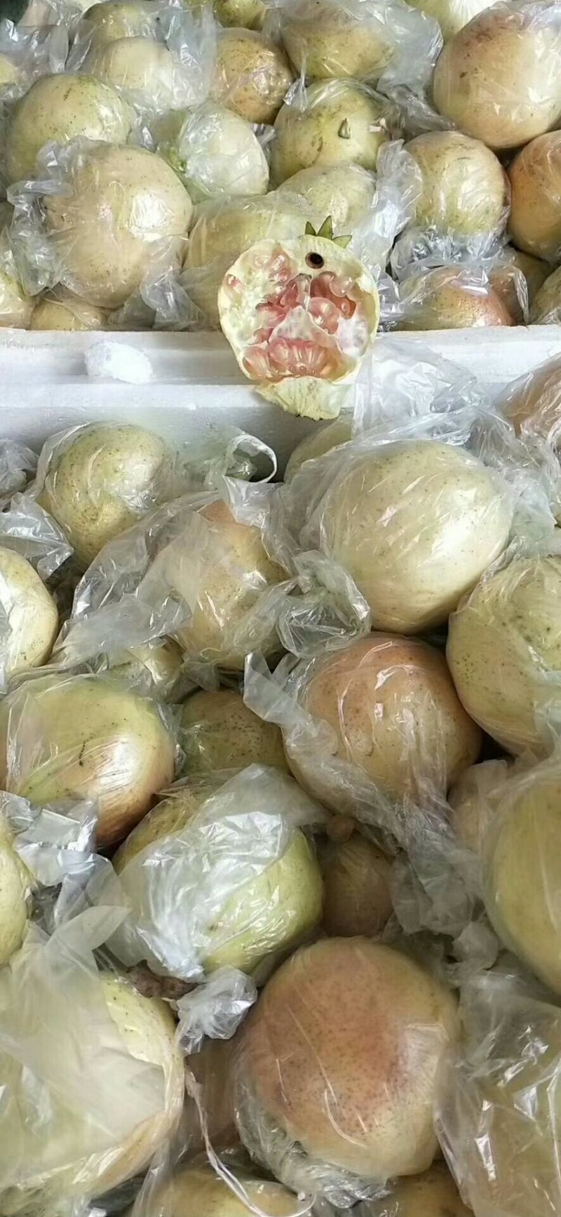 蒙自绿籽甜石榴，建水酸甜石榴