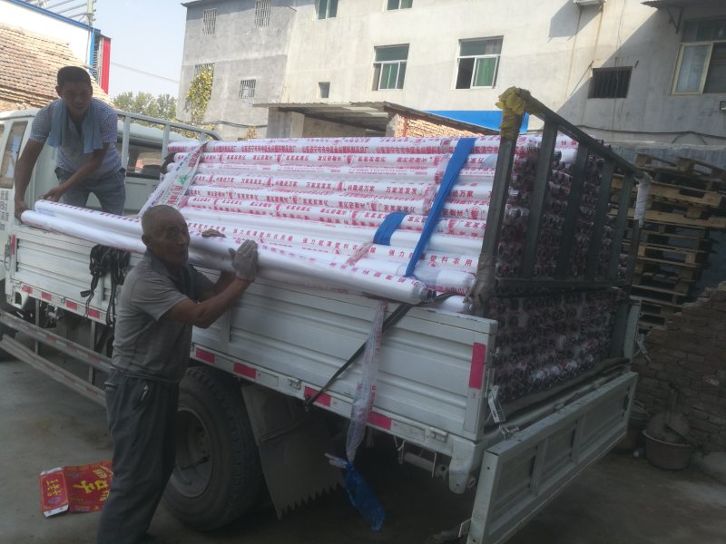 大蒜专用地膜，可以定做，各种规格