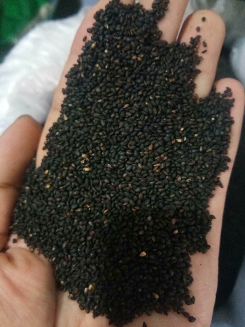 黑芝麻熟野生小粒黑芝麻皮薄肉厚口感更香！