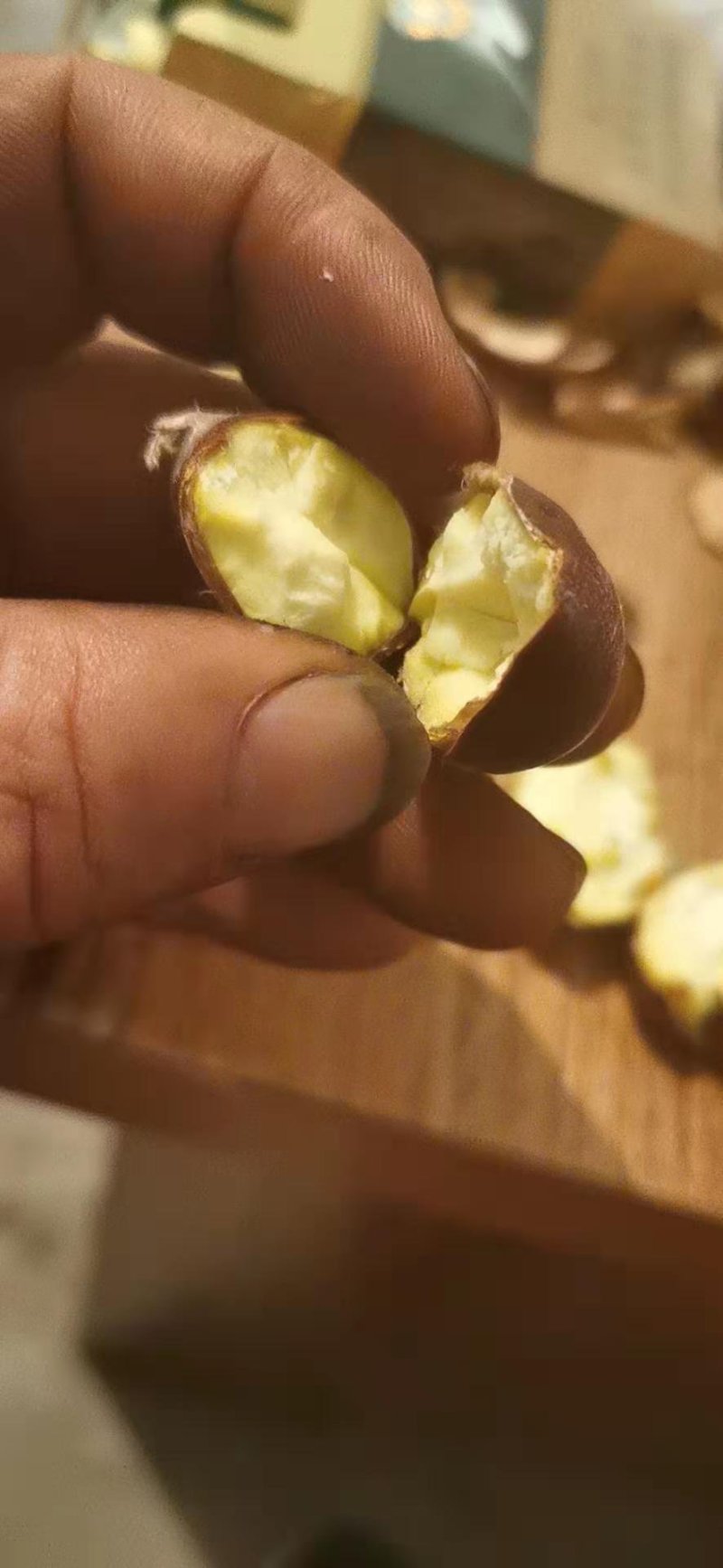 油栗炒栗种优质板栗
