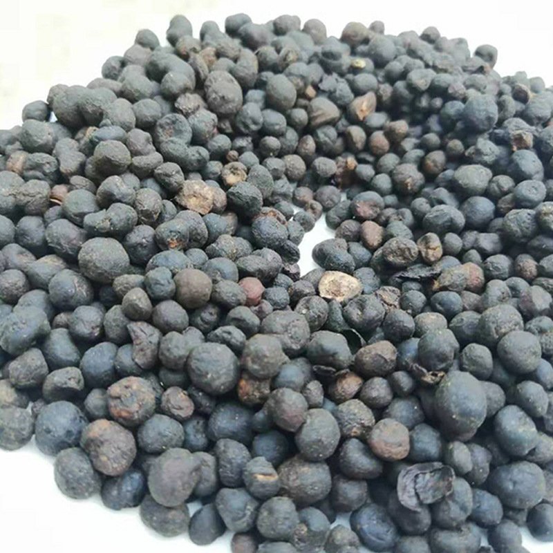 地下明珠正品野生地下明珠落地珍珠冷背中药材品质保证