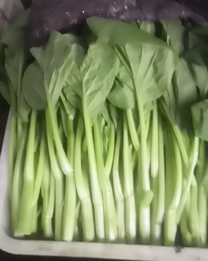 叶菜类