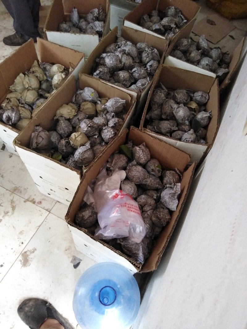 鸭梨，价格美丽，欢迎致电