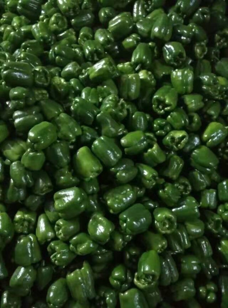 红彩椒，大量供应加工厂彩椒。