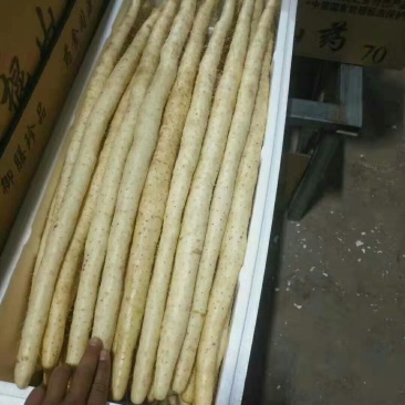 小白嘴白山药