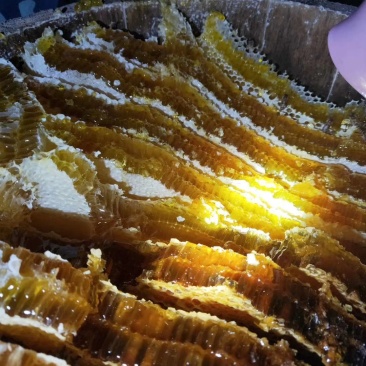 恩施高山百花蜜自家养殖的农村的味天然味道