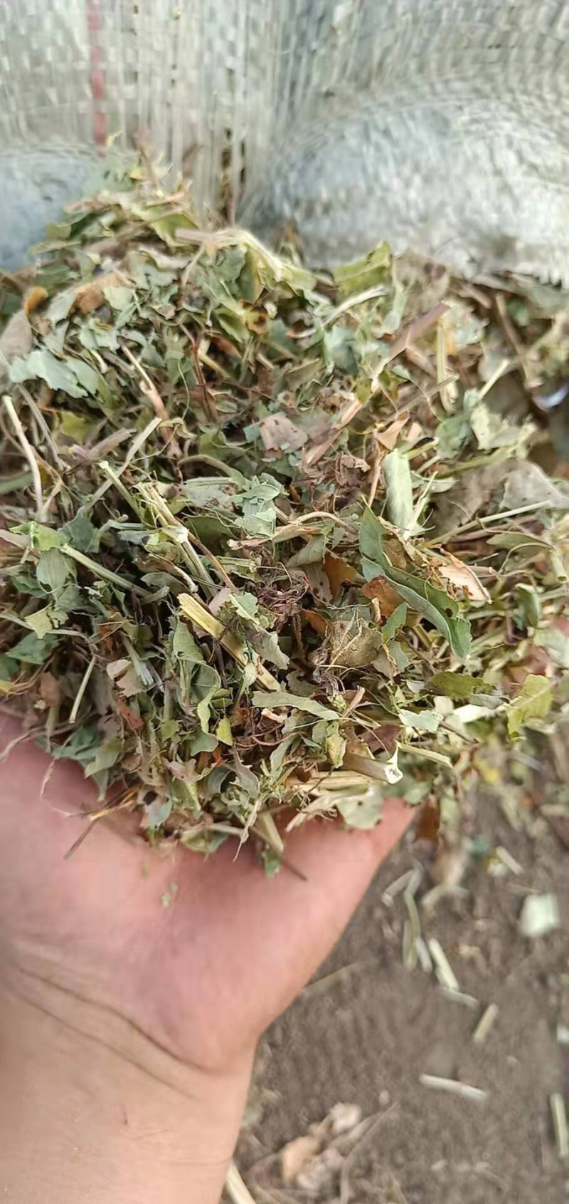 花生秧