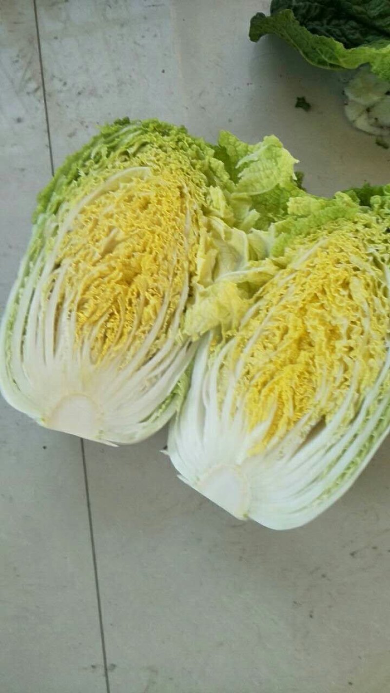 黄芯白菜-辽宁产区-大量供货-专业代办代发团队