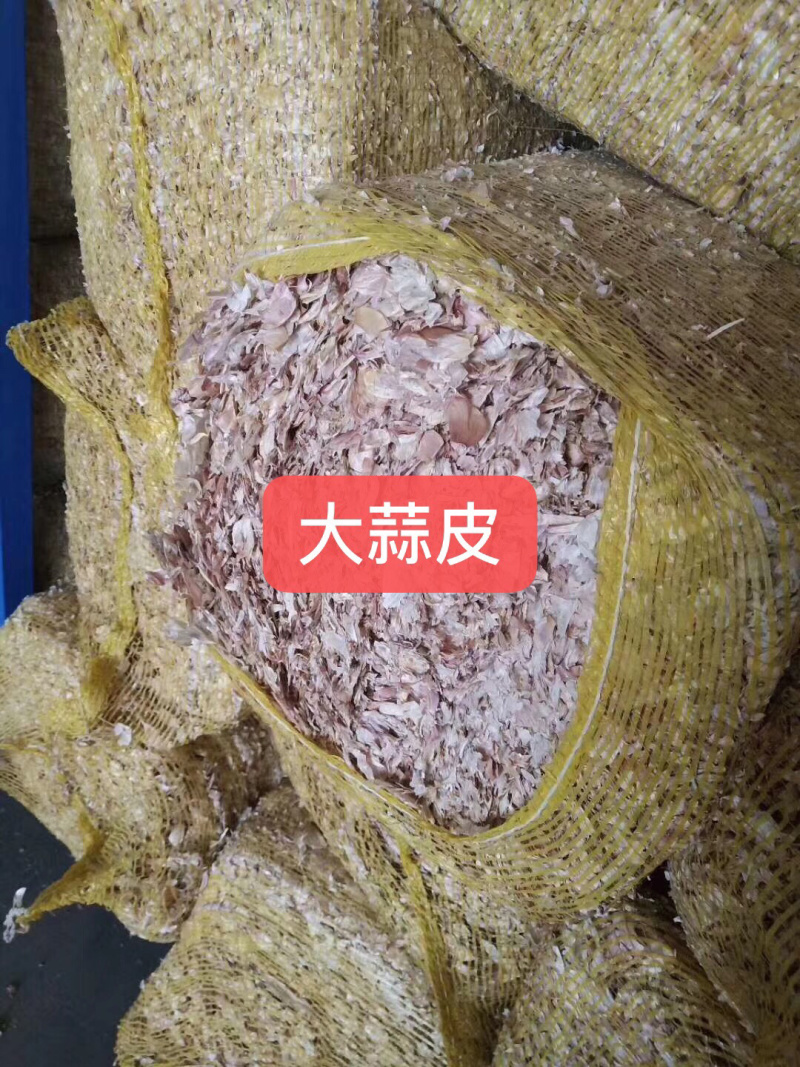 大蒜皮