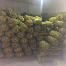 青皮鲜核桃