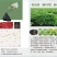 养生荼