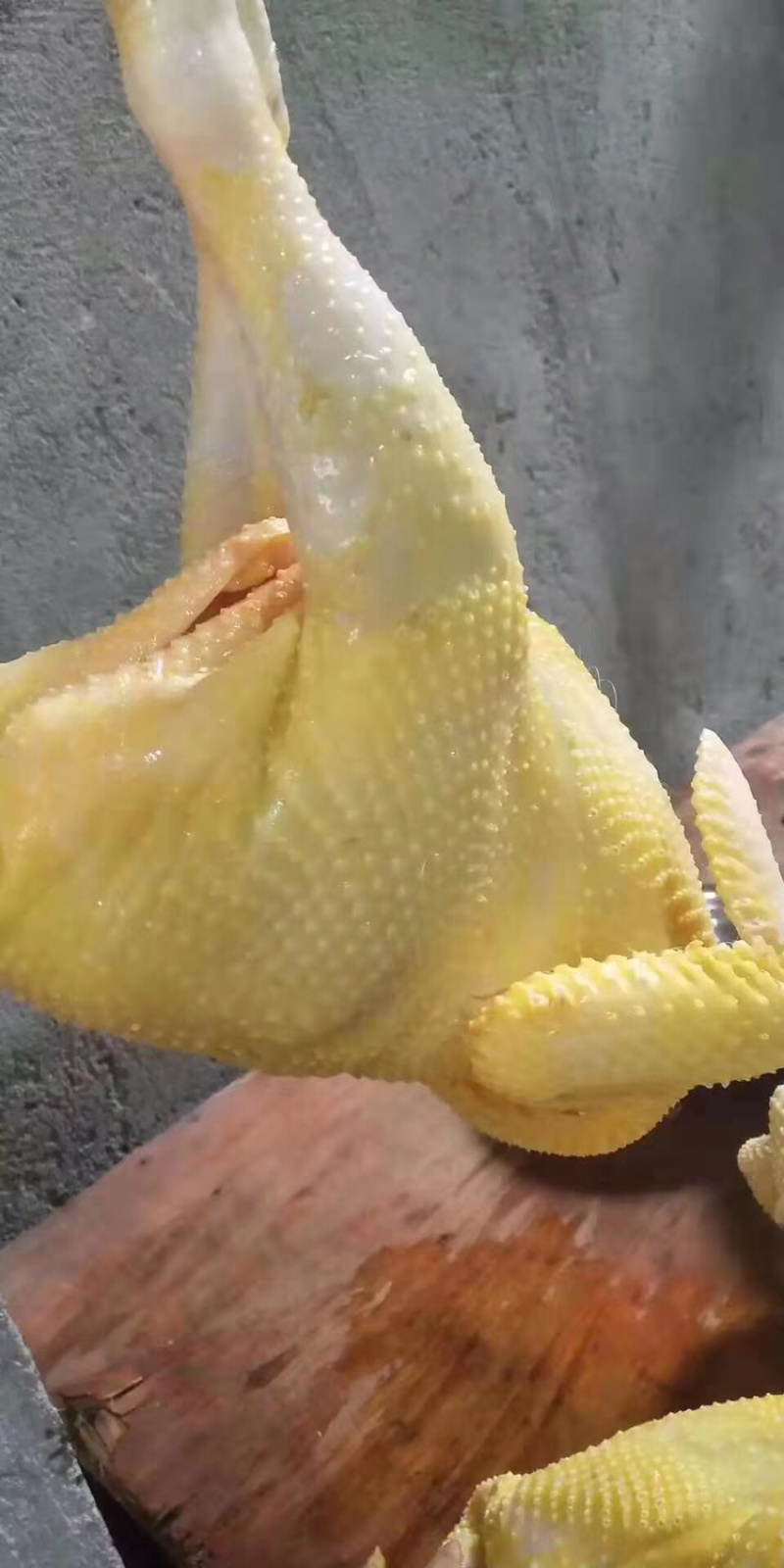 鸡4斤-5.8斤肉鸡