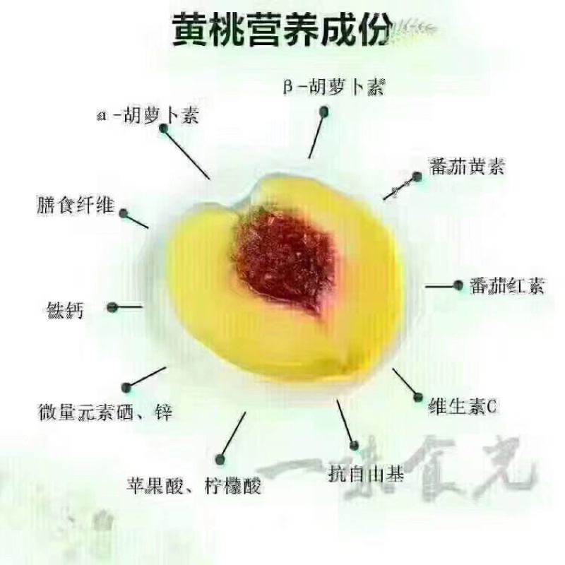 黄金蜜10斤装快递
