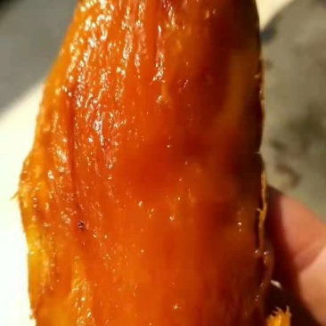 精品烟薯，诚信经营，支持视频看货，可发往全国市场