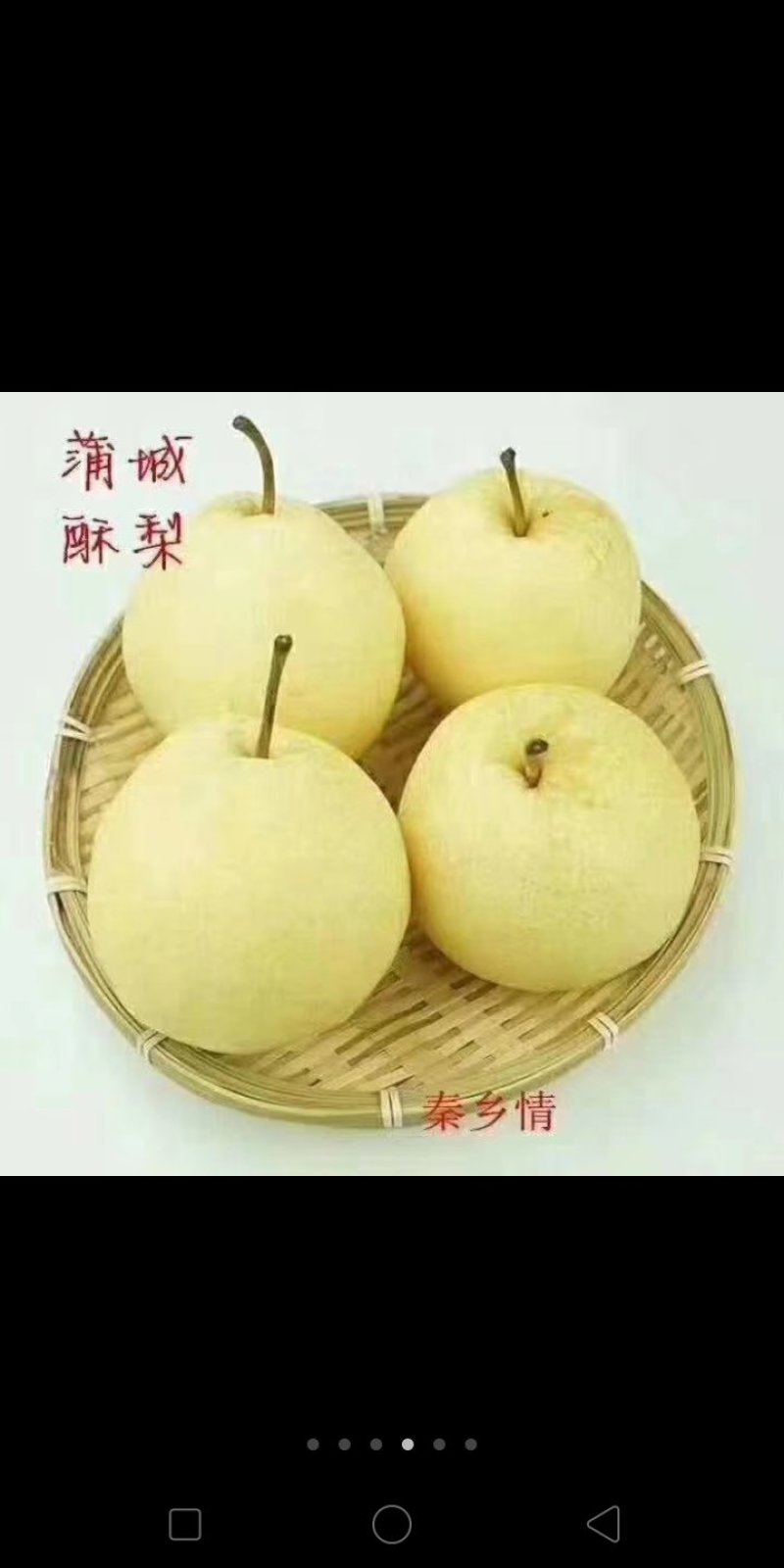 蒲城酥梨大量上市吃一口流一手