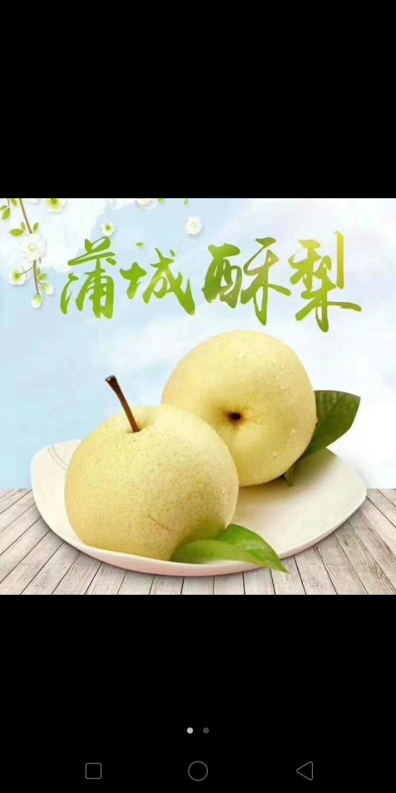 蒲城酥梨大量上市吃一口流一手