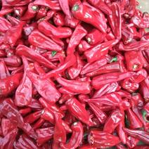 红椒北京红辣椒10~15厘米中辣红
