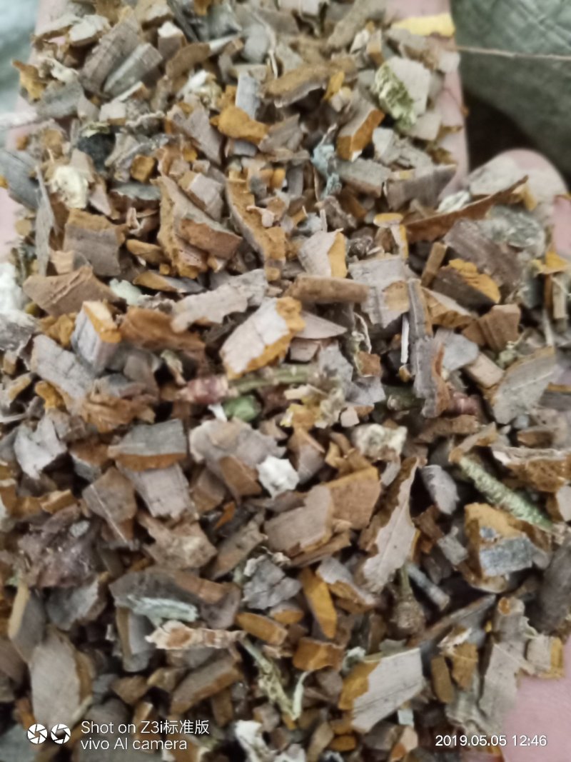 纯野生鬼箭羽卫矛木带羽全羽可视频采