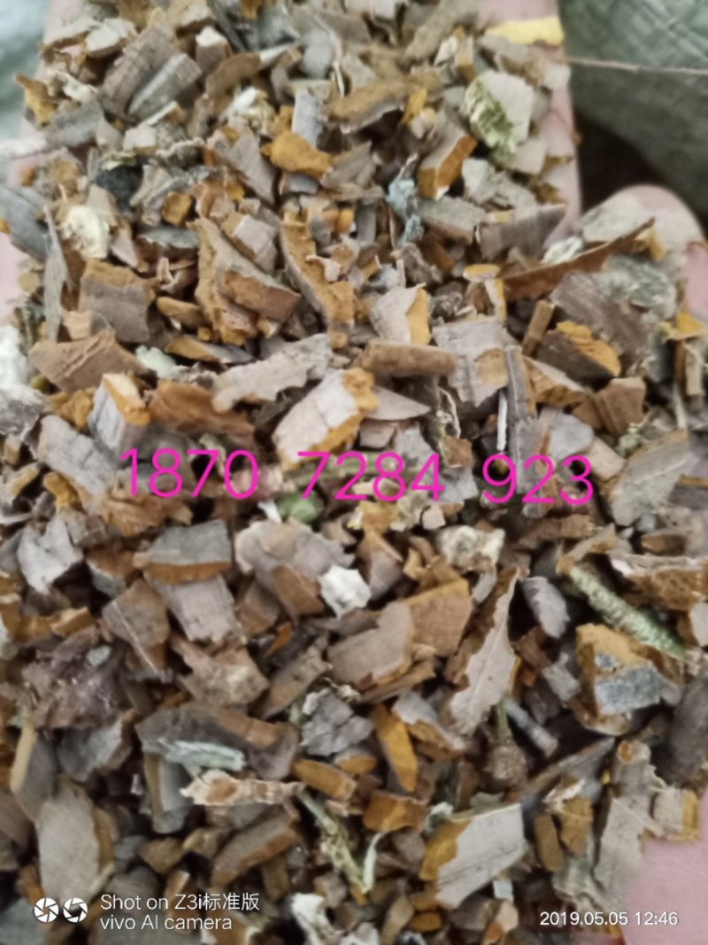 纯野生鬼箭羽卫矛木带羽全羽可视频采