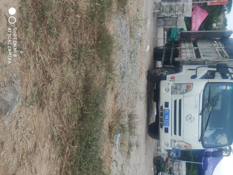 临朐葡萄收购联络处套袋巨峰葡萄青葡萄产地