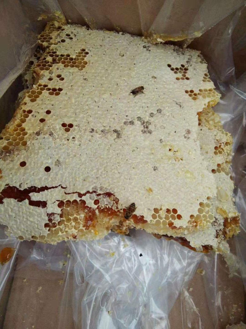陕南蜂蜜