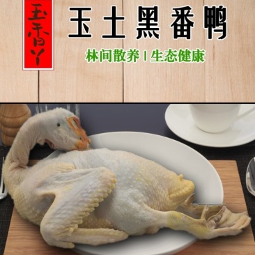 玉土黑番鸭(零售品)