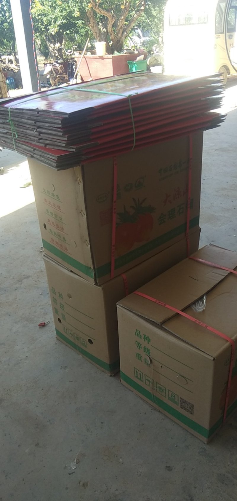 石榴批发，规格齐全价格美丽
