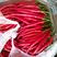 夏邑县线椒红线椒，各种精品鲜辣椒大量发货全国，大量有货