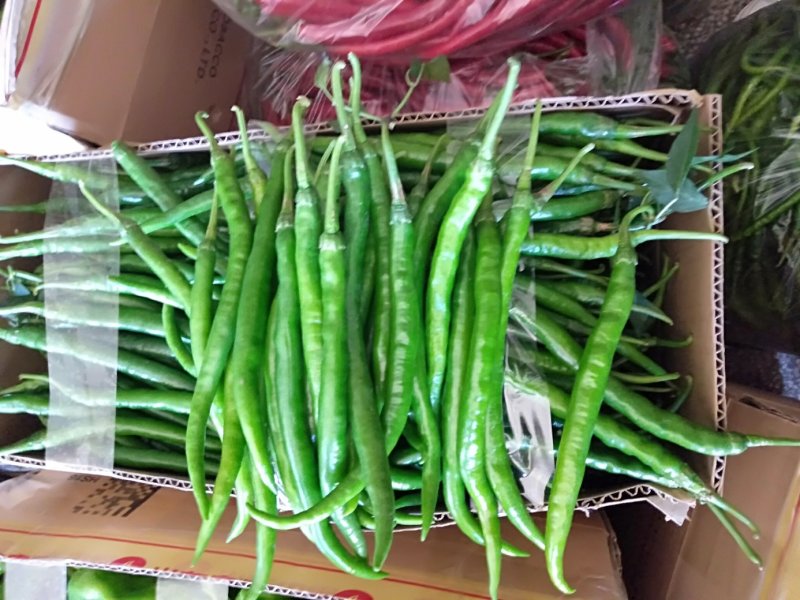 夏邑县线椒红线椒，各种精品鲜辣椒大量发货全国，大量有货