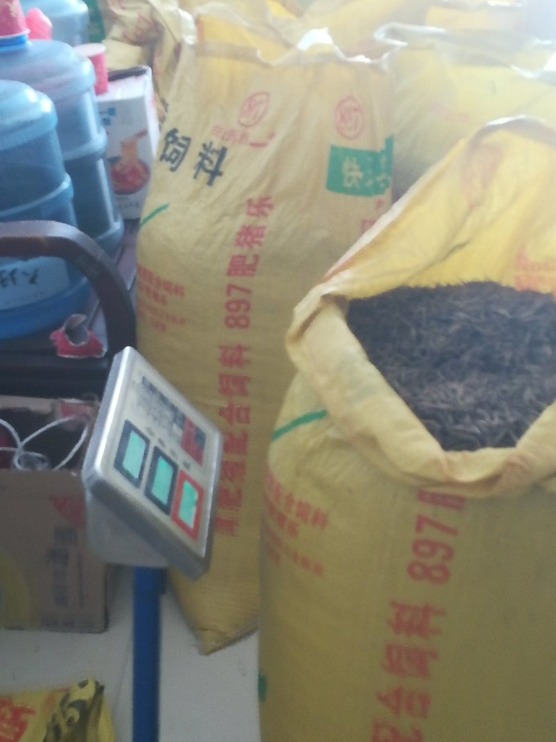 毛竹种子正在打包，有需要的亩友请通过一亩田联系