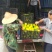 四川普早蜜桔