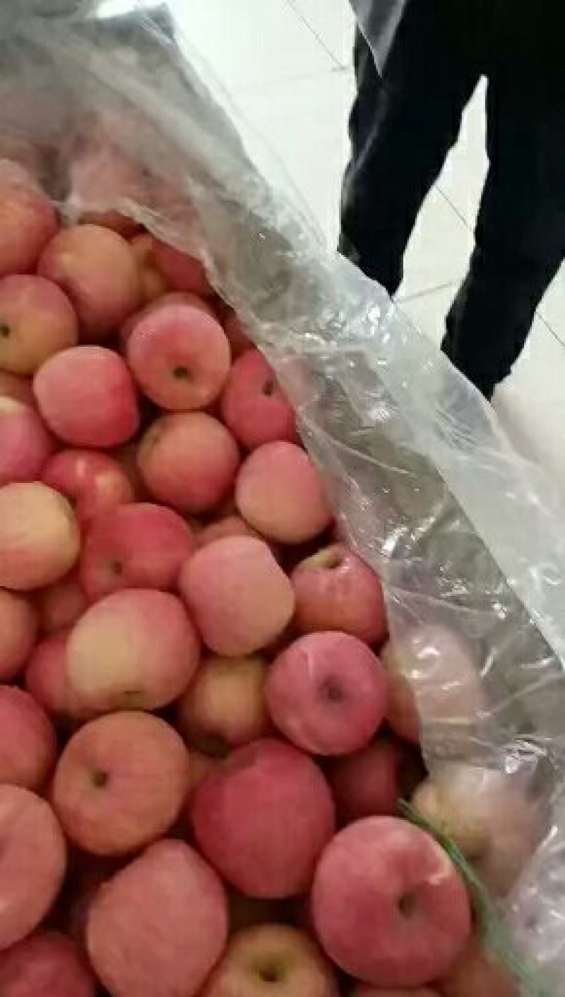 精品（冰糖心红富士）口感甜脆*质量保证*代存代发