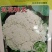 有机花菜种子青梗花菜种子耐寒抗病性强品种