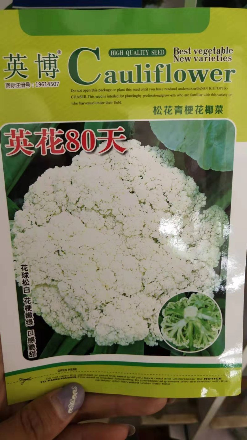 有机花菜种子青梗花菜种子耐寒抗病性强品种