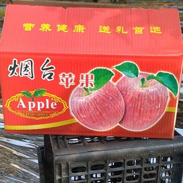 红星苹果