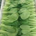 山东，精品油菜，快菜