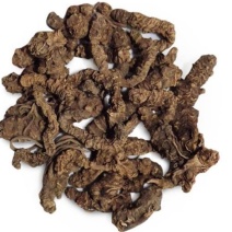 蜘蛛香，产地陕西道地药材，质优价实，品质保证，药典标准，