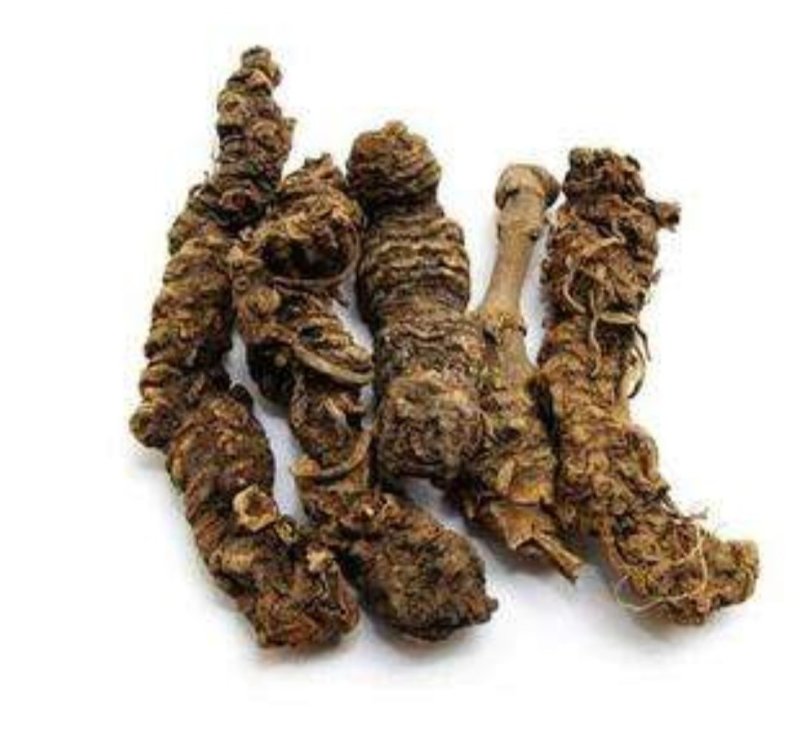 蜘蛛香，产地陕西道地药材，质优价实，品质保证，药典标准，