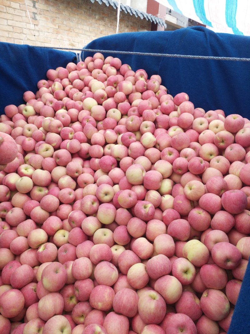 苹果🍎