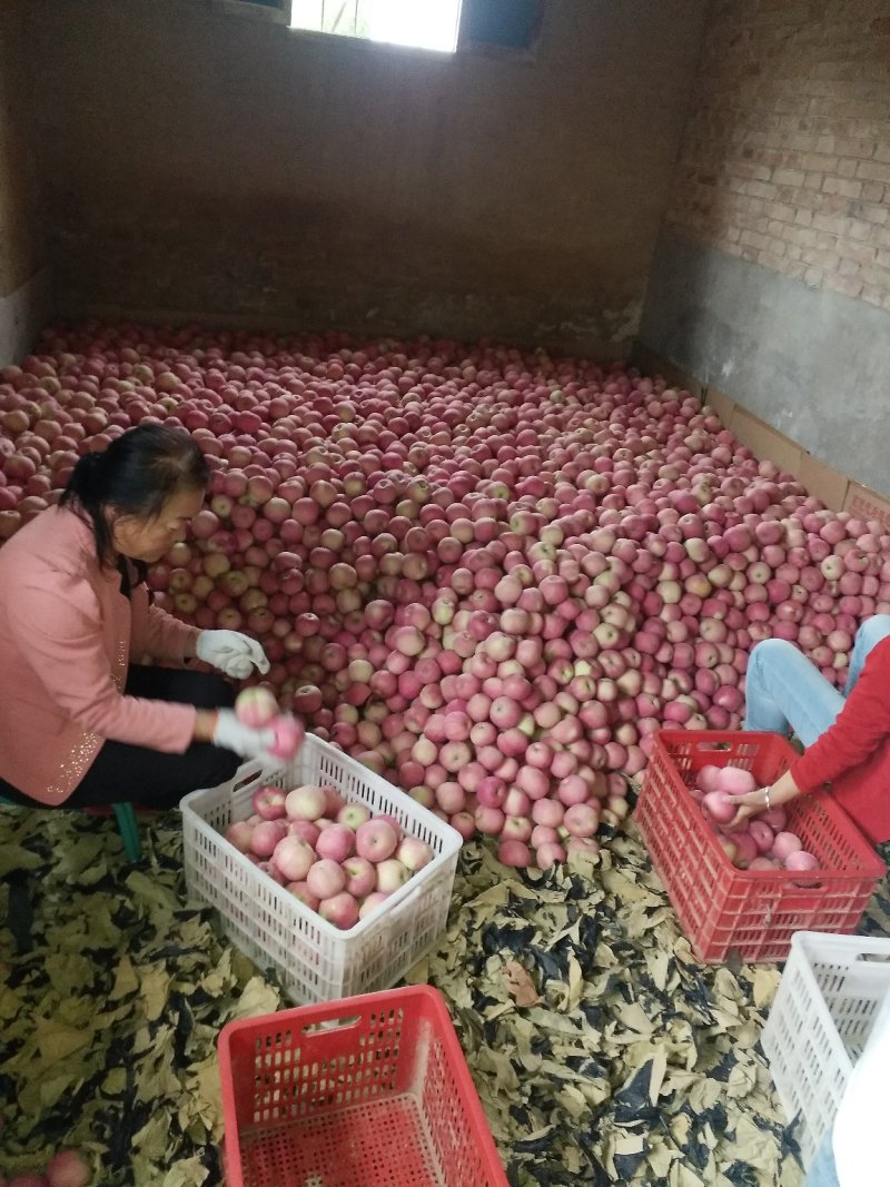 苹果🍎