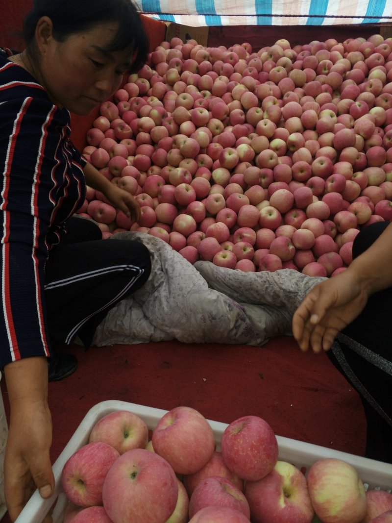 苹果🍎